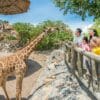 Vé Vinpearl Nha Trang (Vé tiêu chuẩn) 14 vé vinpearl nha trang