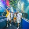 Vé Vinpearl Nha Trang (Vé tiêu chuẩn) 23 vé vinpearl nha trang