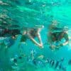 Hòn Mun- Làng Chài - Hòn Tằm Nha Trang 26 tour 3 đảo hòn mun nha trang