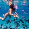 Hòn Mun- Làng Chài - Hòn Tằm Nha Trang 25 tour 3 đảo hòn mun nha trang