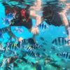 Hòn Mun- Làng Chài - Hòn Tằm Nha Trang 24 tour 3 đảo hòn mun