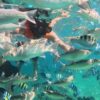 tour 3 đảo vip nha trang
