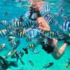 tour 3 đảo vip nha trang