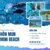 tour 3 đảo vip nha trang cập nhật 2025