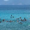 tour lặn snorkeling nha trang