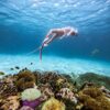 Tour freediving Nha Trang