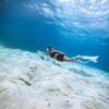 Tour freediving Nha Trang