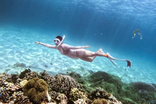 Tour freediving Nha Trang