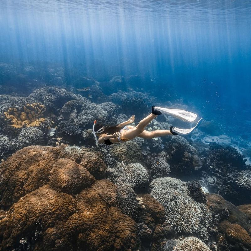 những ai không nên tham gia tour freediving