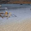 tour đầm bấy nha trang