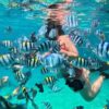 Tour đảo hoang dã Hòn Mun – Hòn Một Nha Trang 12 tour đảo hoang dã hòn mun hòn một